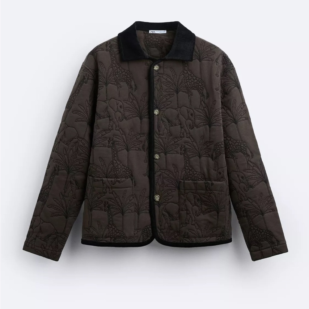 ZARA | Brown Embroidered Forest Jacket